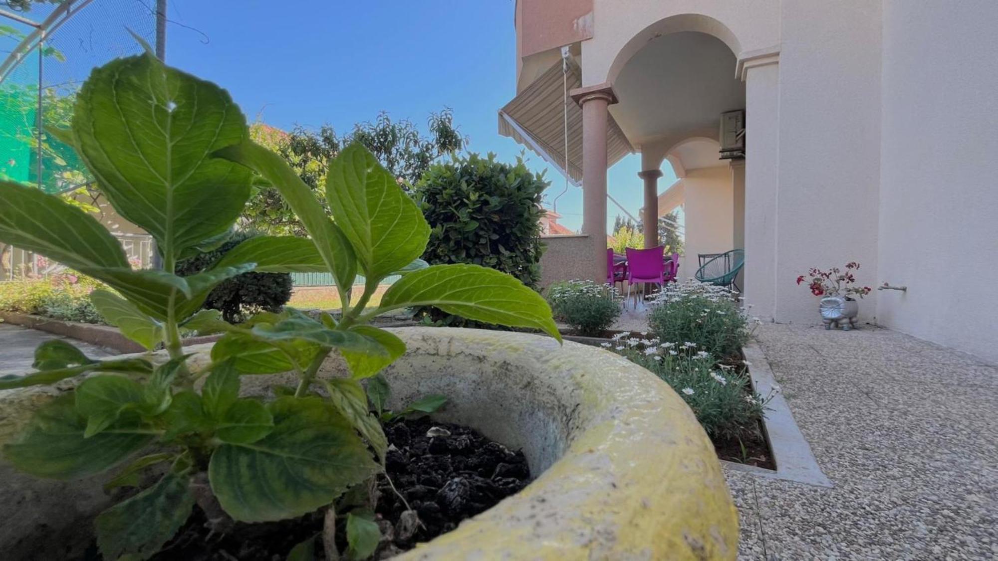 Apartments Villa Rotim Задар Екстериор снимка